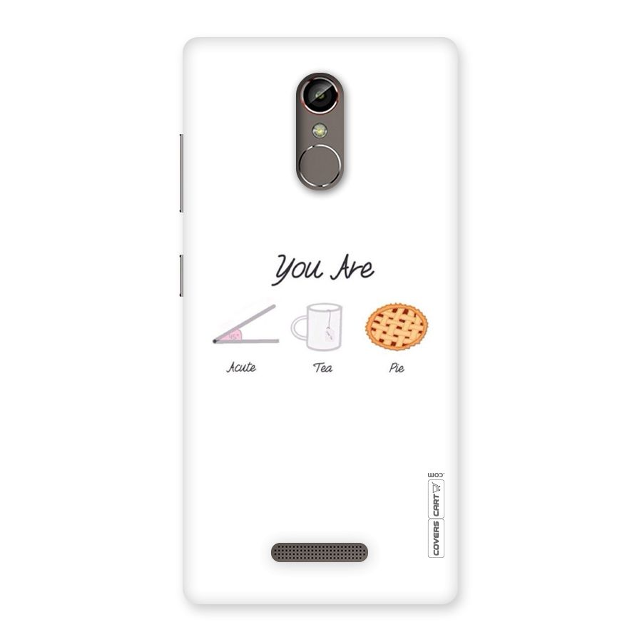 Acute Tea Pie Back Case for Gionee S6s