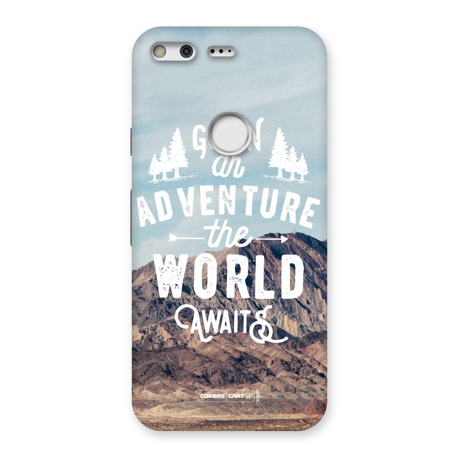 Adventure World Back Case for Google Pixel