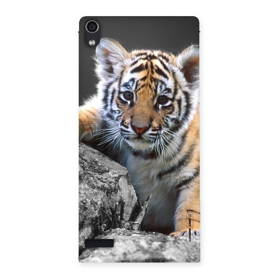 Animal Beauty Back Case for Ascend P6