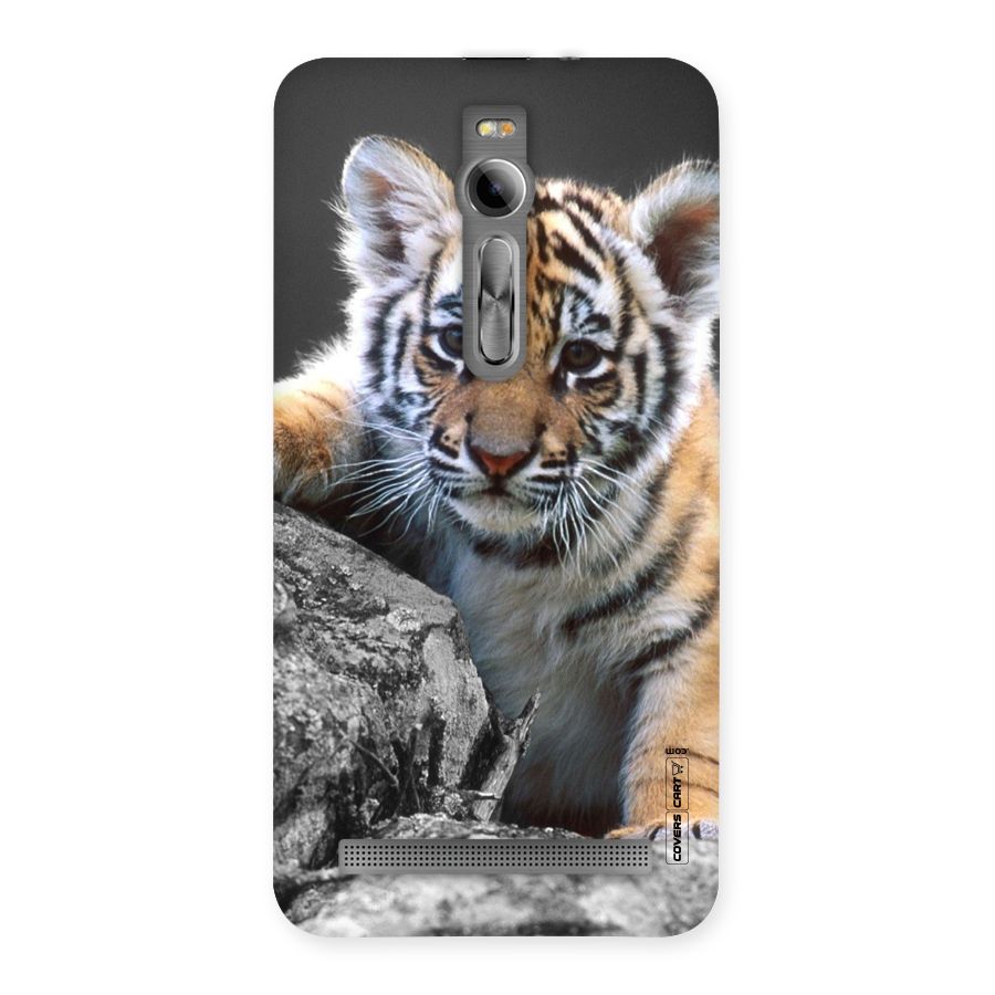 Animal Beauty Back Case for Asus Zenfone 2