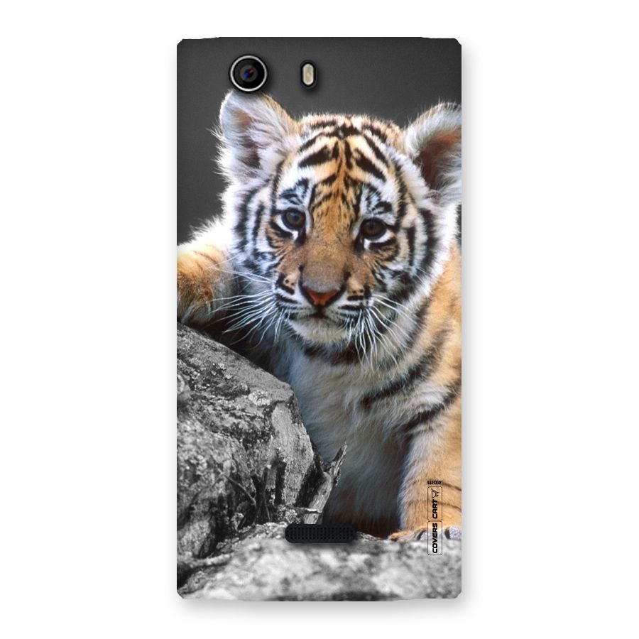Animal Beauty Back Case for Canvas Nitro 2 E311