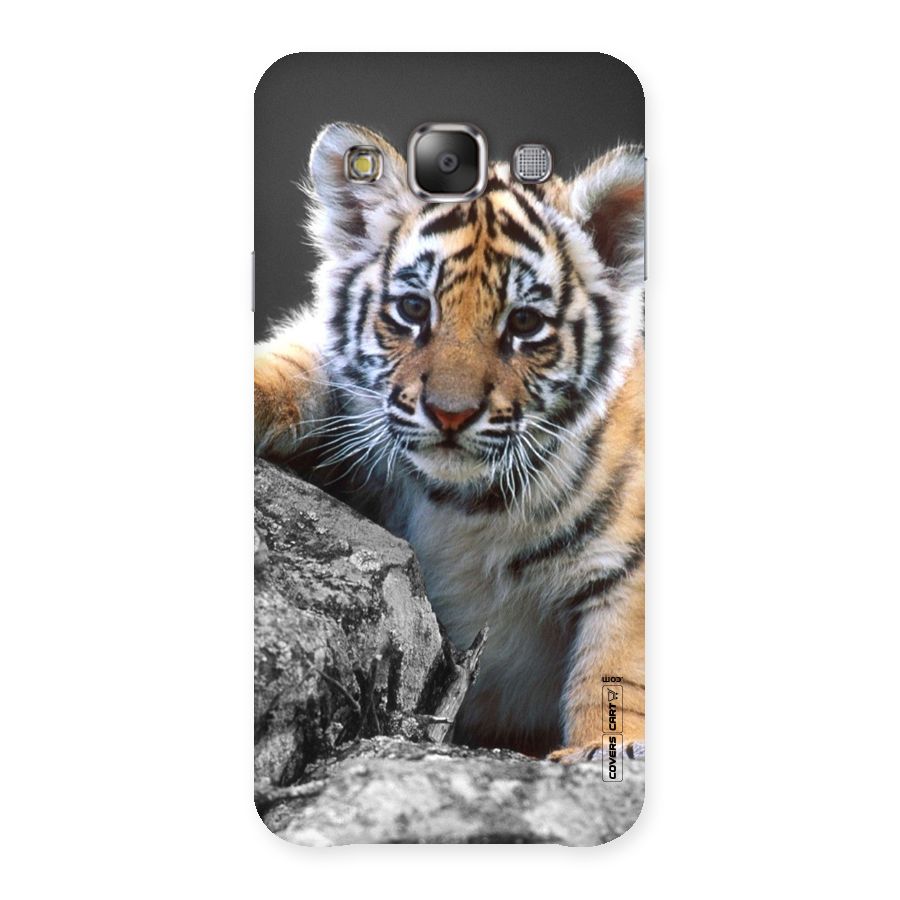 Animal Beauty Back Case for Galaxy E7