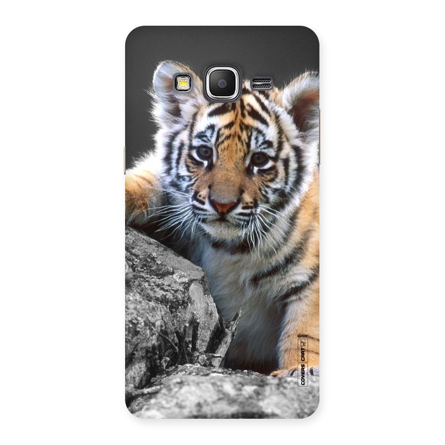 Animal Beauty Back Case for Galaxy Grand Prime