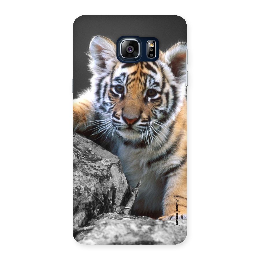 Animal Beauty Back Case for Galaxy Note 5