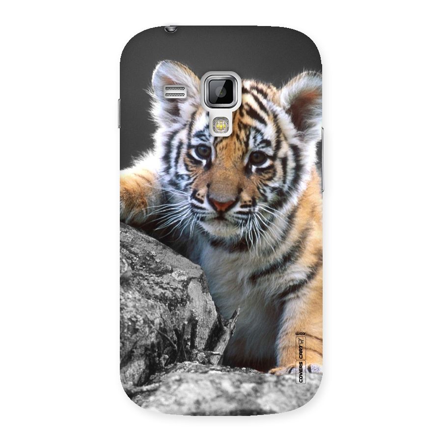 Animal Beauty Back Case for Galaxy S Duos