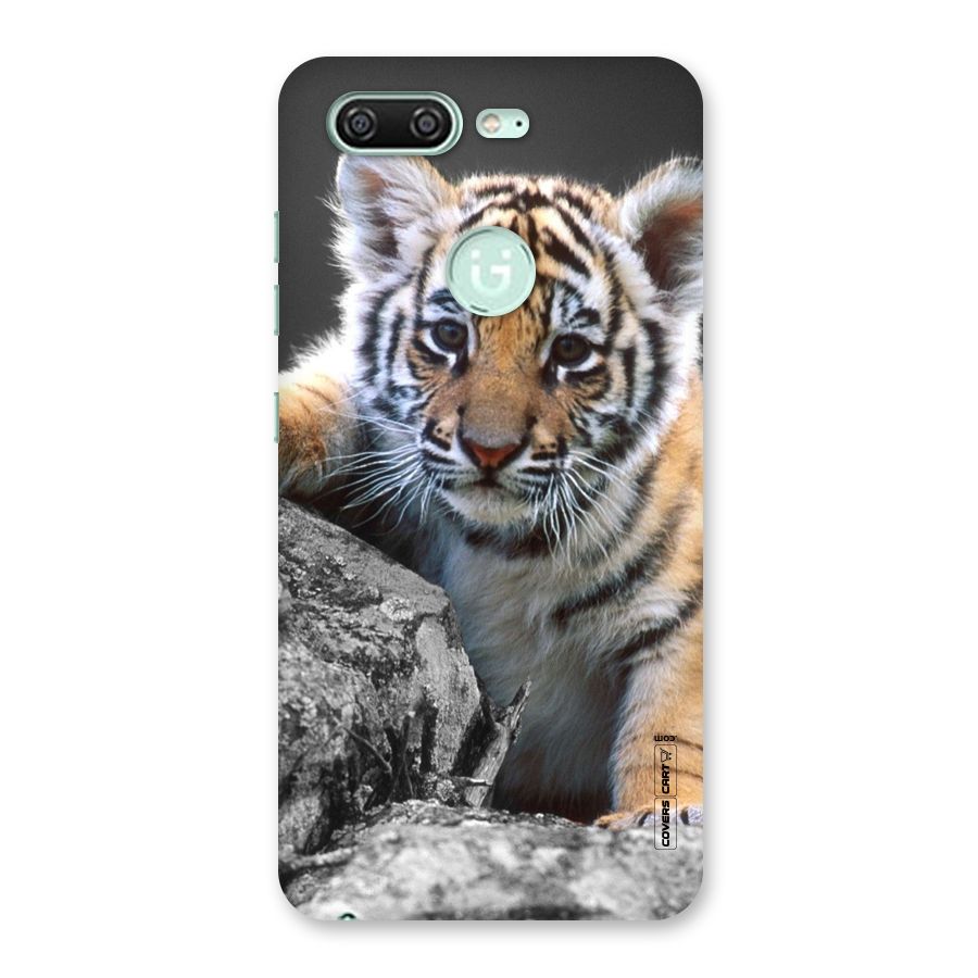 Animal Beauty Back Case for Gionee S10