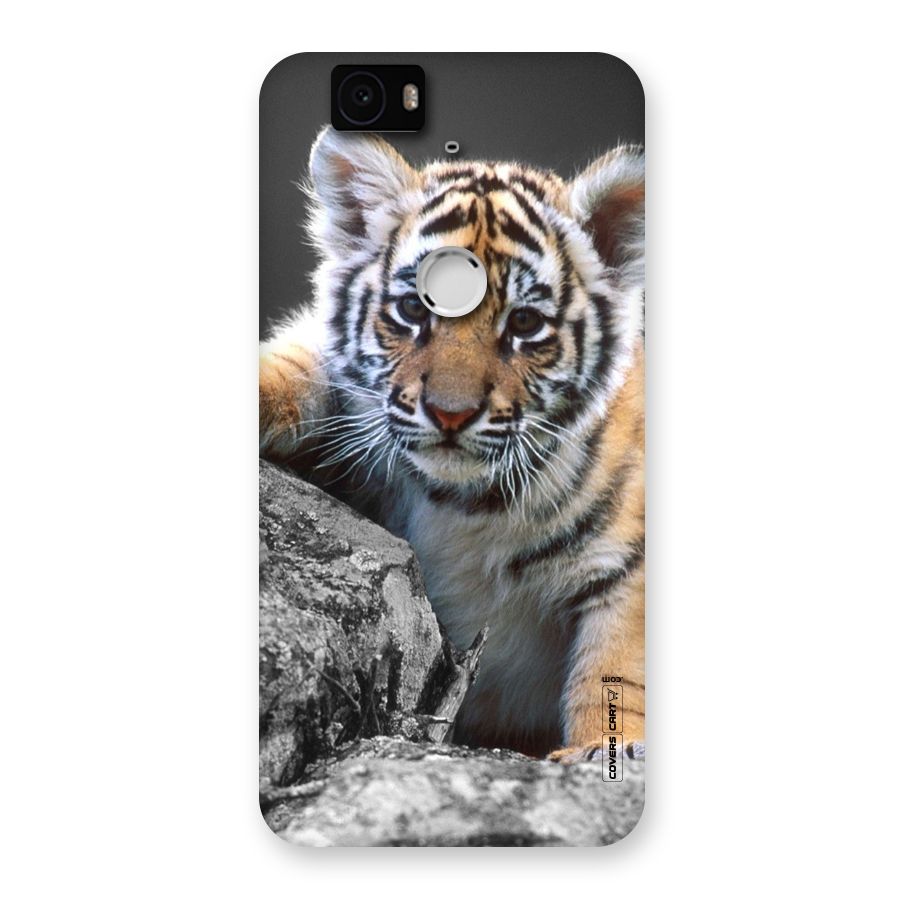 Animal Beauty Back Case for Google Nexus-6P