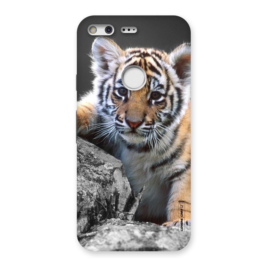 Animal Beauty Back Case for Google Pixel