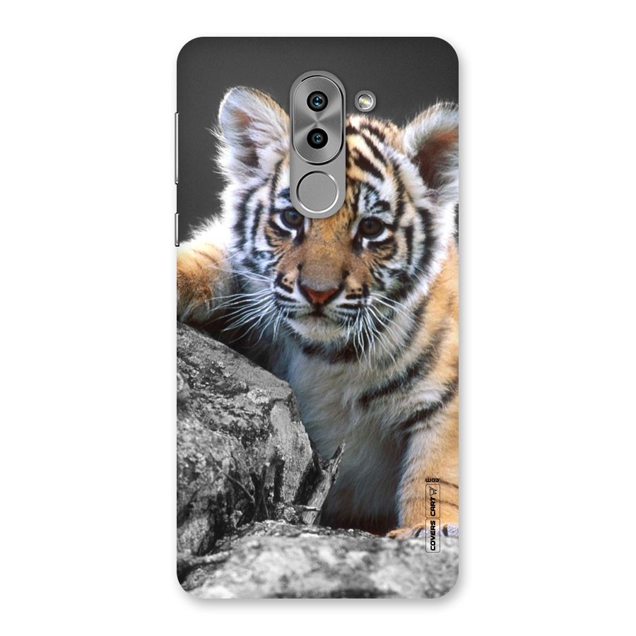 Animal Beauty Back Case for Honor 6X