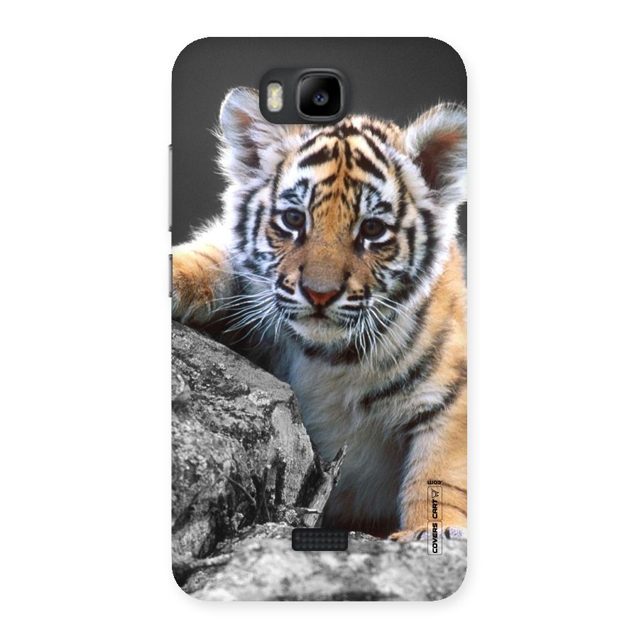 Animal Beauty Back Case for Honor Bee