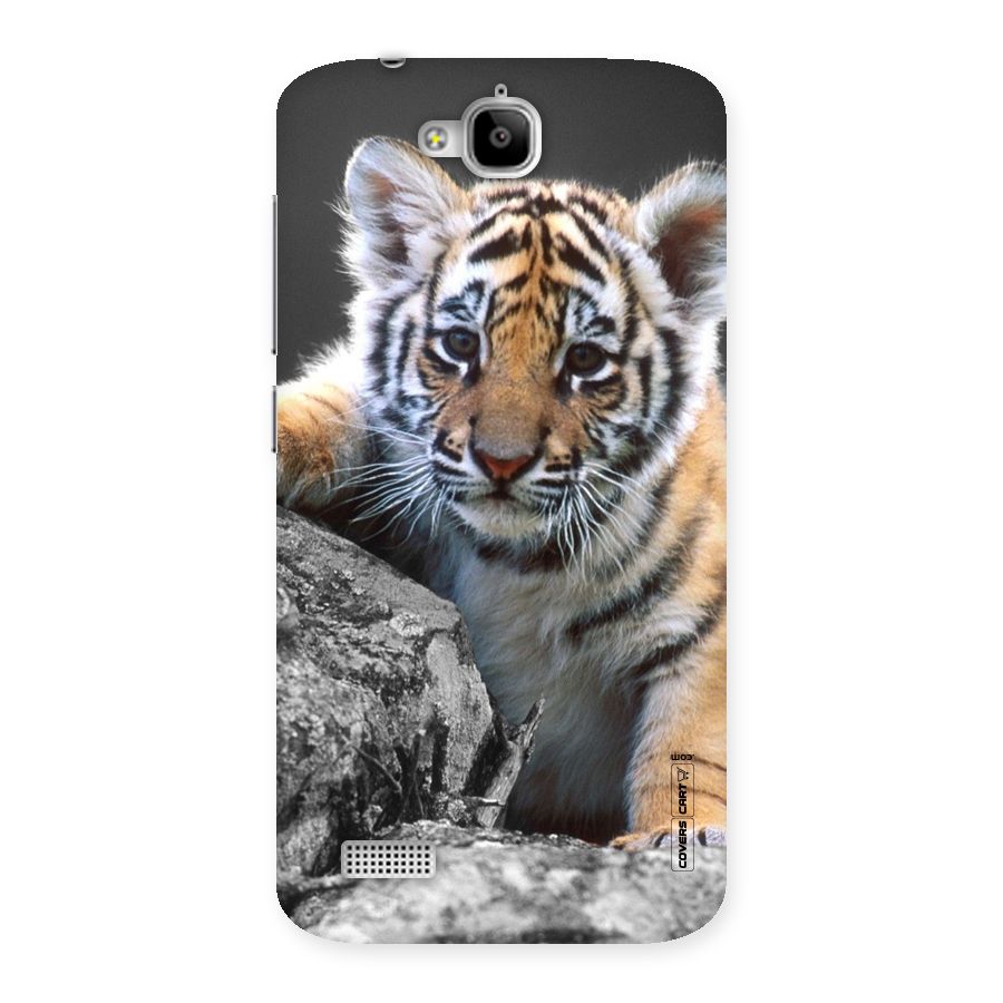 Animal Beauty Back Case for Honor Holly