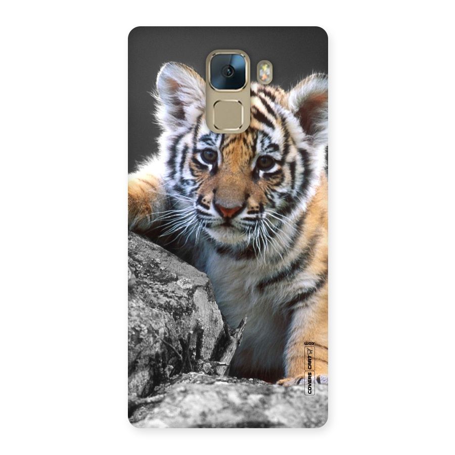 Animal Beauty Back Case for Huawei Honor 7