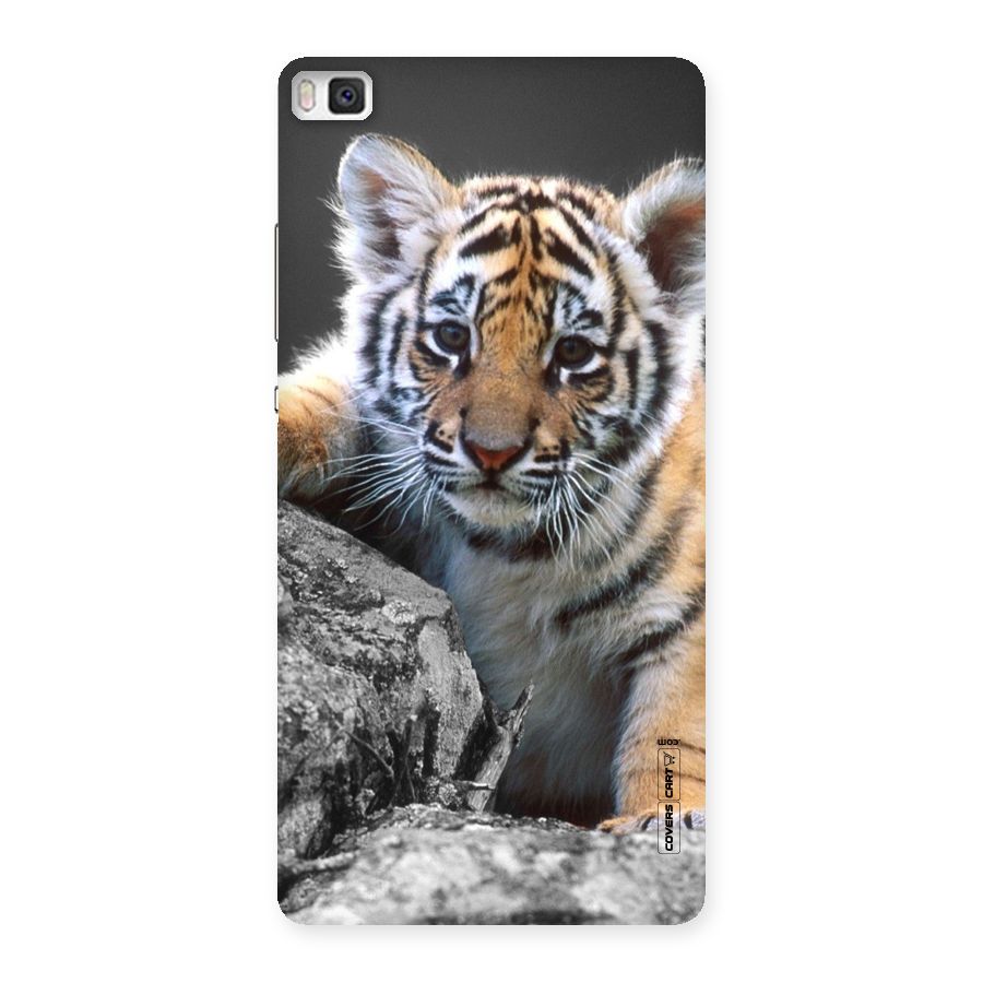 Animal Beauty Back Case for Huawei P8