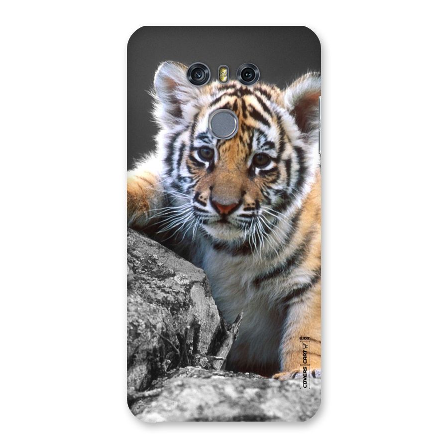 Animal Beauty Back Case for LG G6