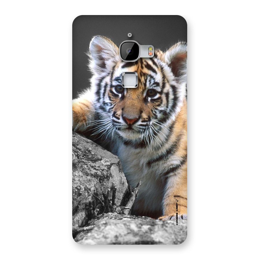 Animal Beauty Back Case for LeTv Le Max