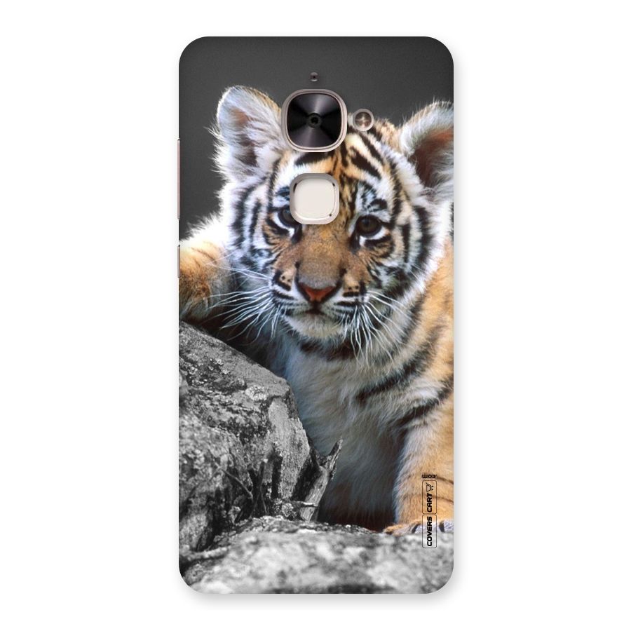 Animal Beauty Back Case for Le 2