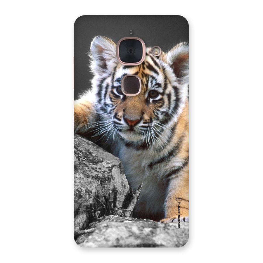 Animal Beauty Back Case for Le Max 2