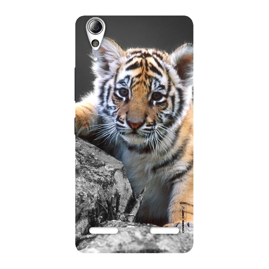Animal Beauty Back Case for Lenovo A6000 Plus