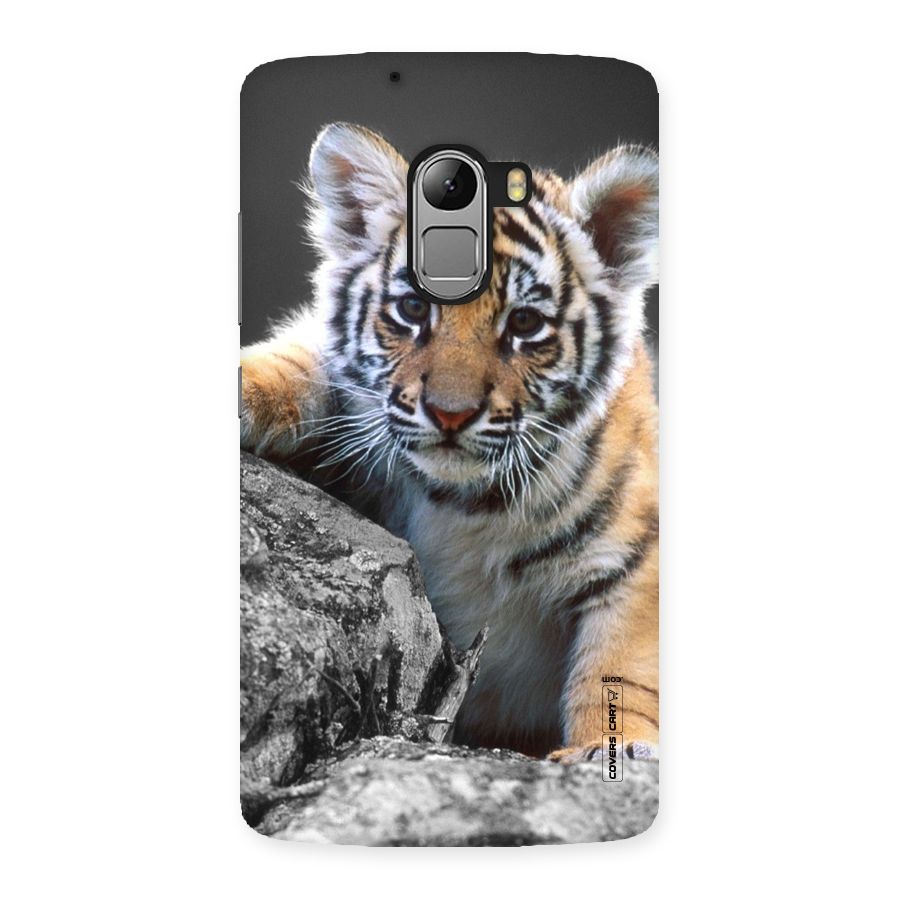 Animal Beauty Back Case for Lenovo K4 Note