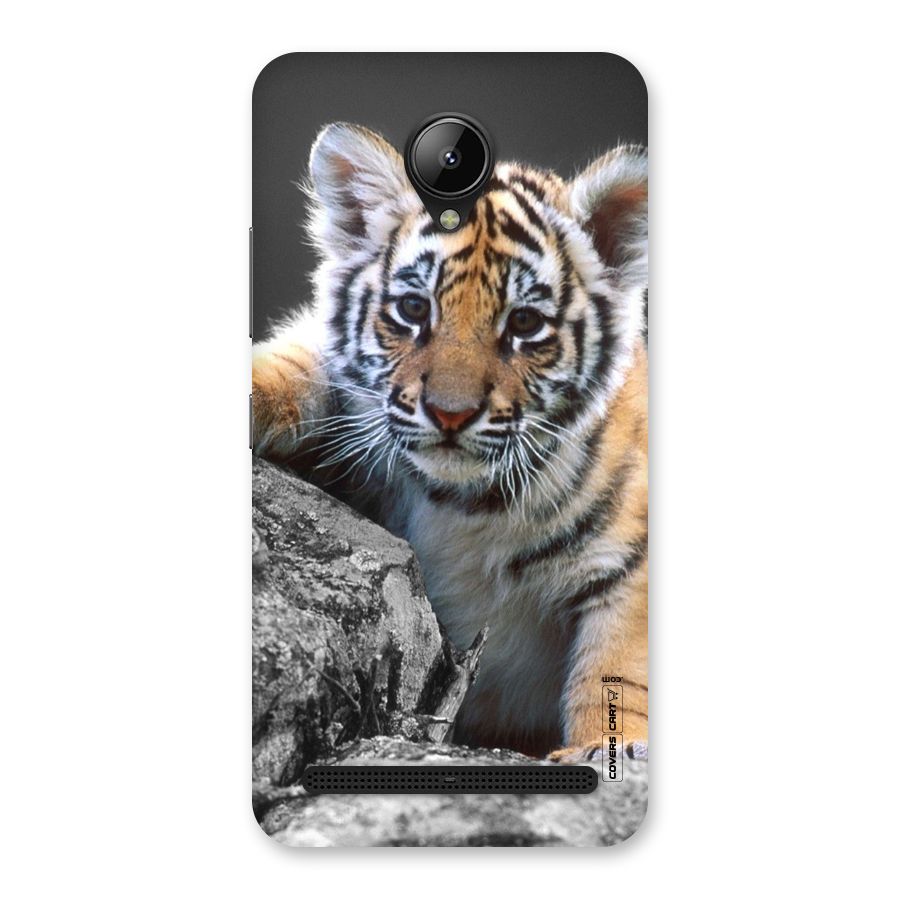 Animal Beauty Back Case for Lenovo C2