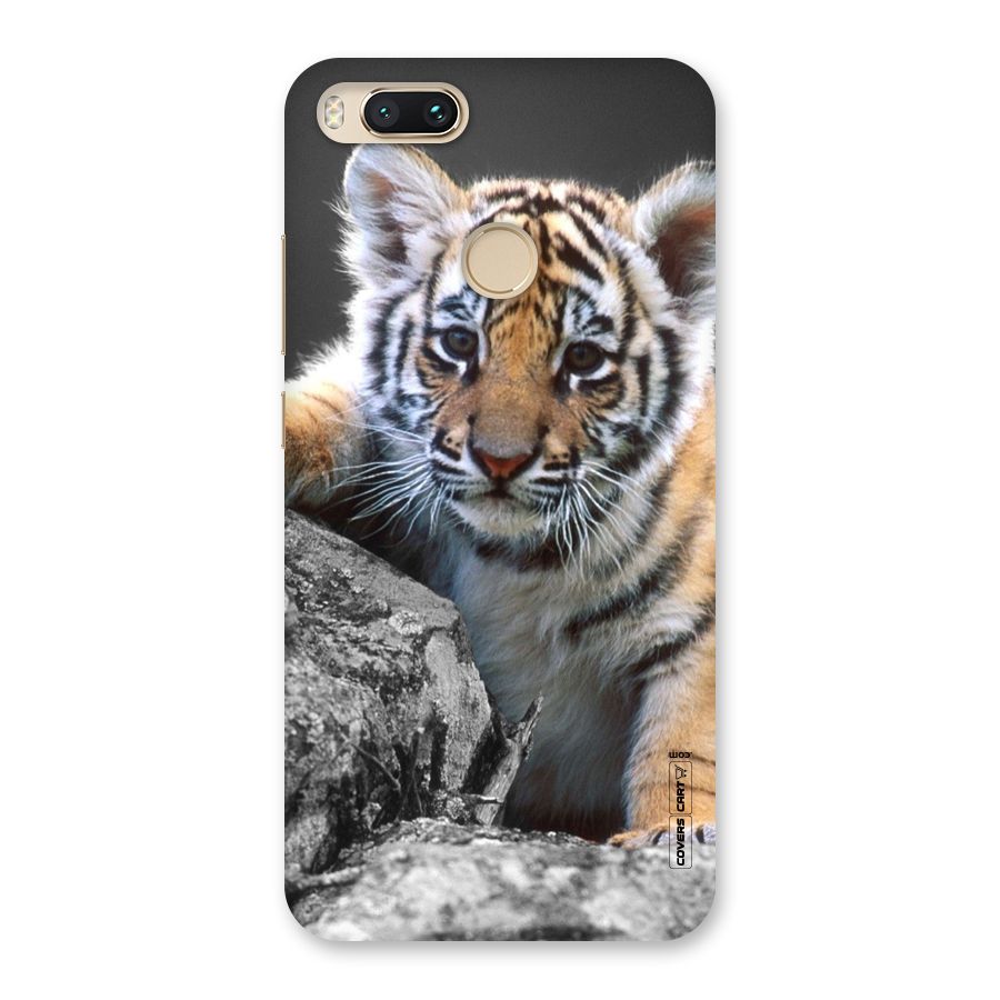 Animal Beauty Back Case for Mi A1