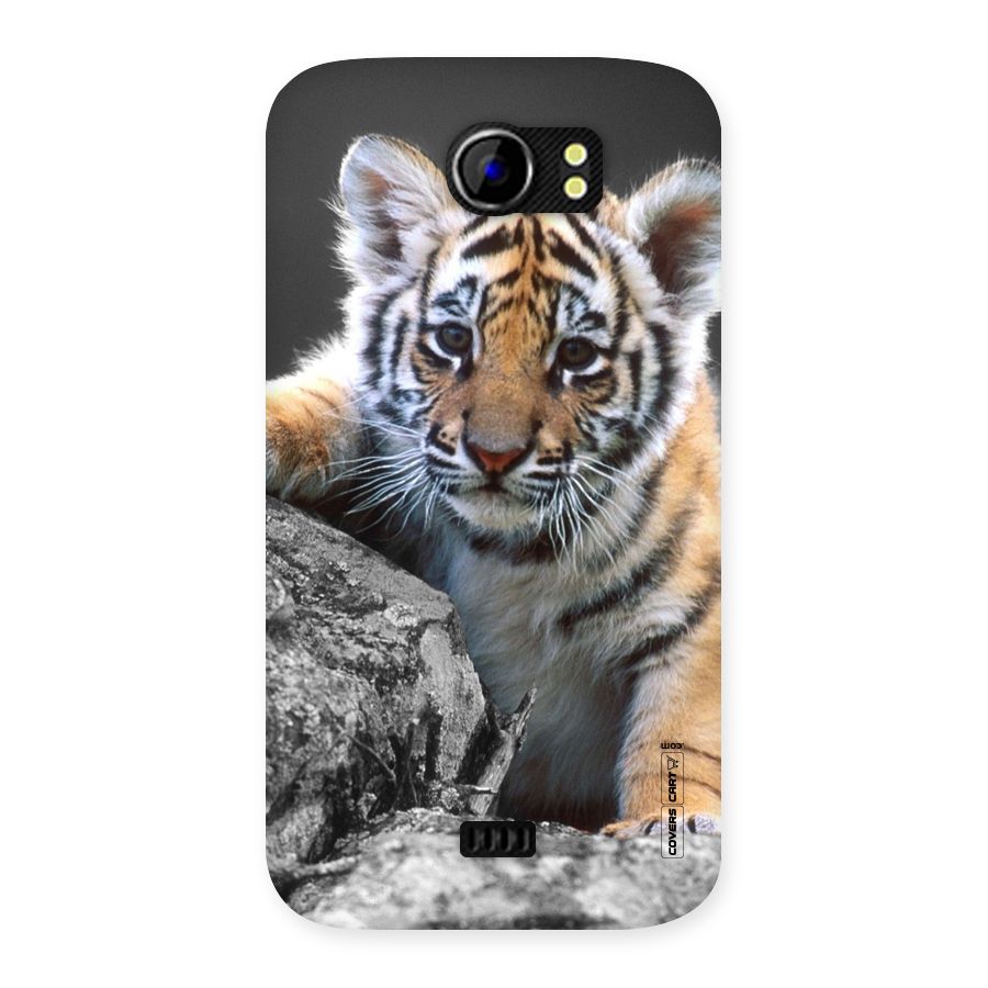 Animal Beauty Back Case for Micromax Canvas 2 A110