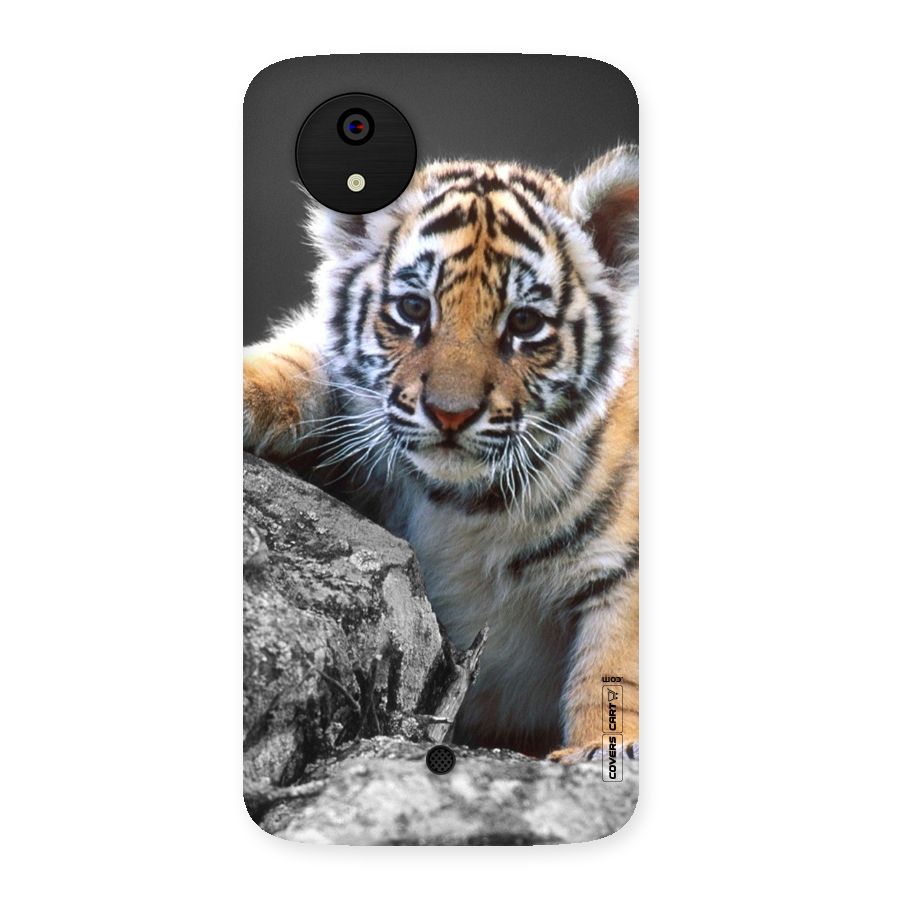 Animal Beauty Back Case for Micromax Canvas A1