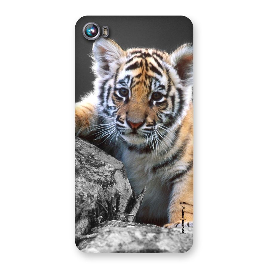 Animal Beauty Back Case for Micromax Canvas Fire 4 A107