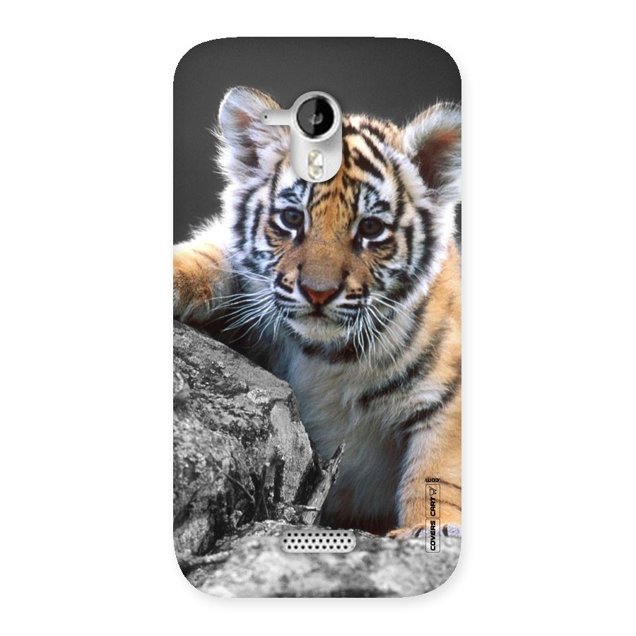 Animal Beauty Back Case for Micromax Canvas HD A116