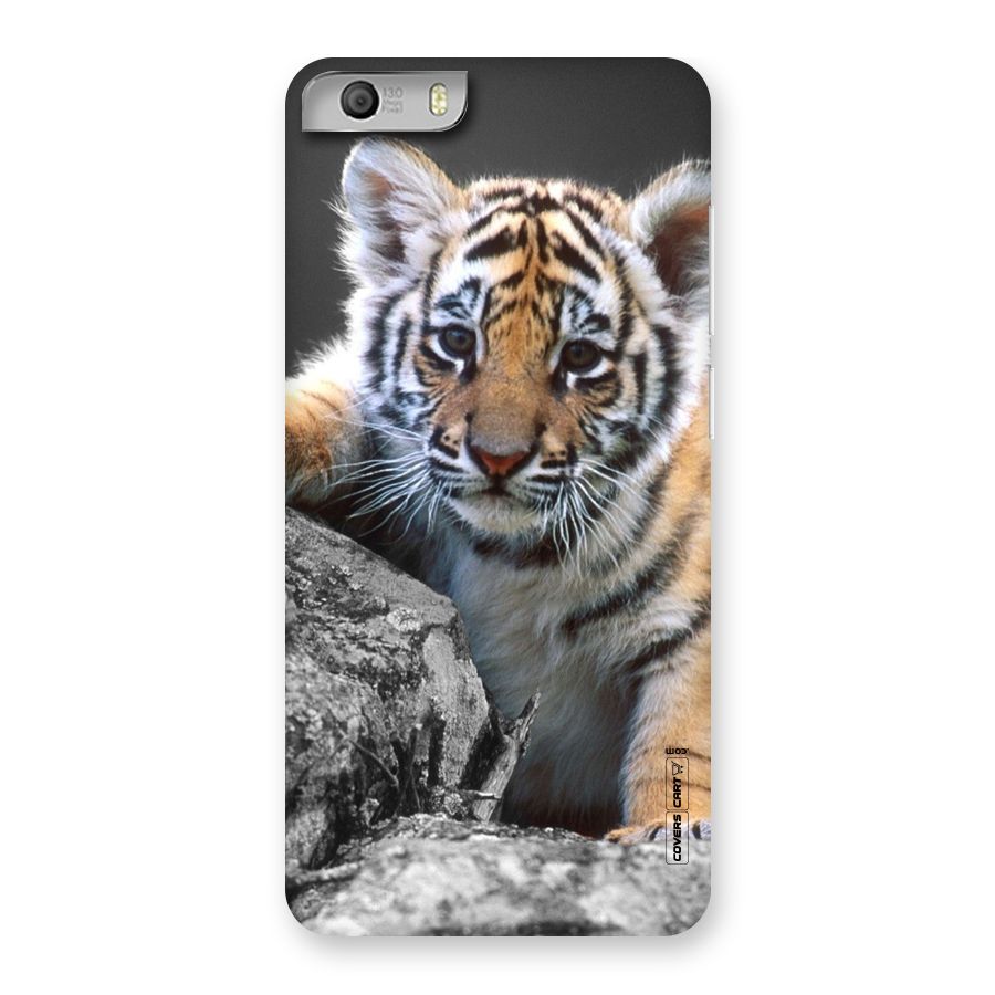 Animal Beauty Back Case for Micromax Canvas Knight 2