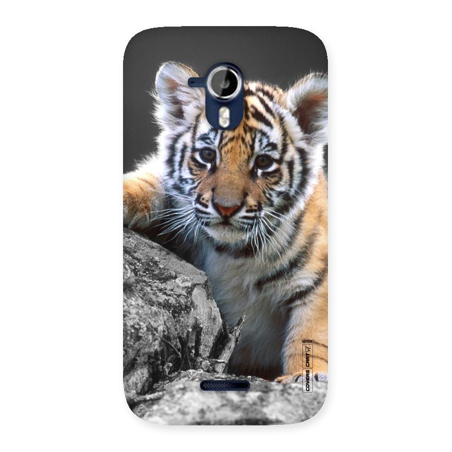 Animal Beauty Back Case for Micromax Canvas Magnus A117