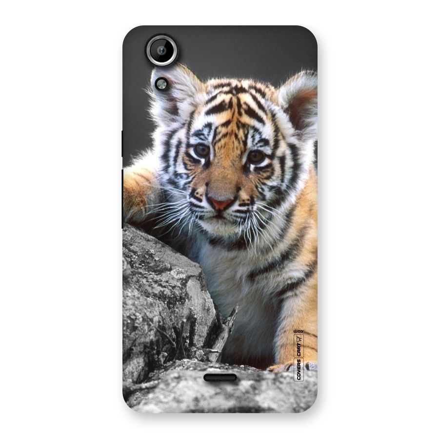 Animal Beauty Back Case for Micromax Canvas Selfie Lens Q345