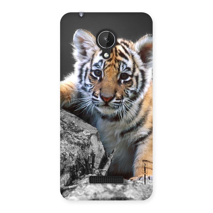 Animal Beauty Back Case for Micromax Canvas Spark Q380