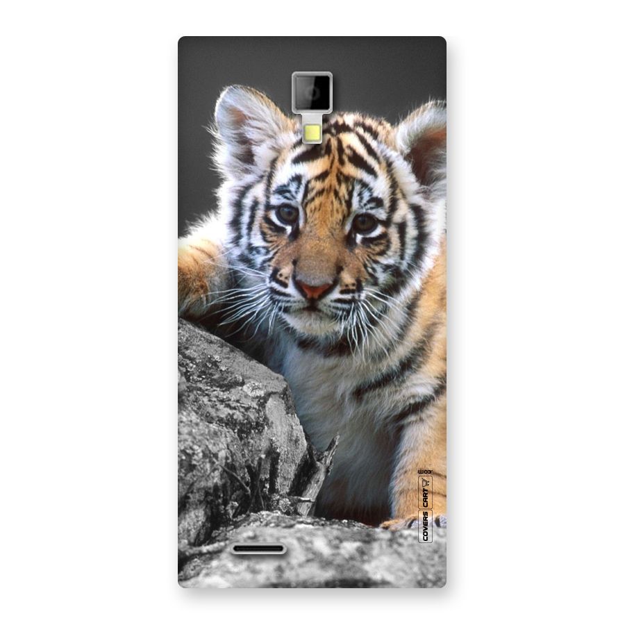 Animal Beauty Back Case for Micromax Canvas Xpress A99