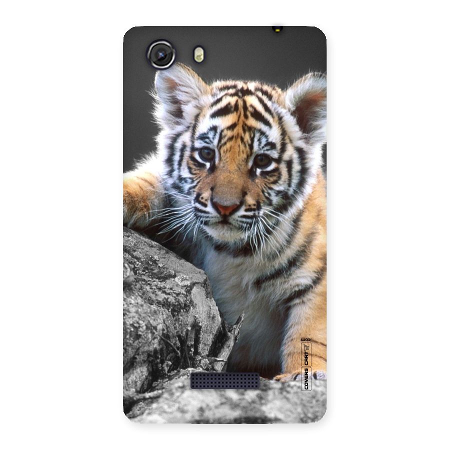 Animal Beauty Back Case for Micromax Unite 3