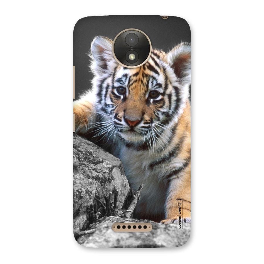 Animal Beauty Back Case for Moto C Plus