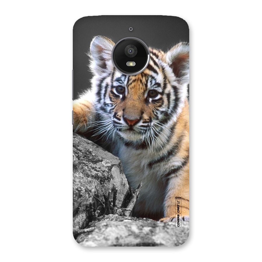 Animal Beauty Back Case for Moto E4 Plus