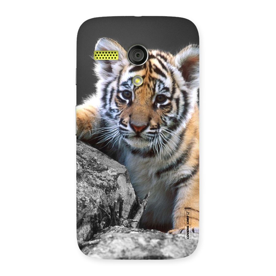 Animal Beauty Back Case for Moto G