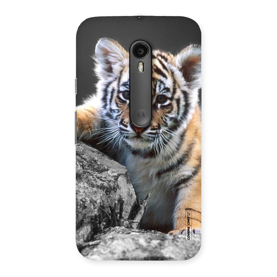 Animal Beauty Back Case for Moto G3