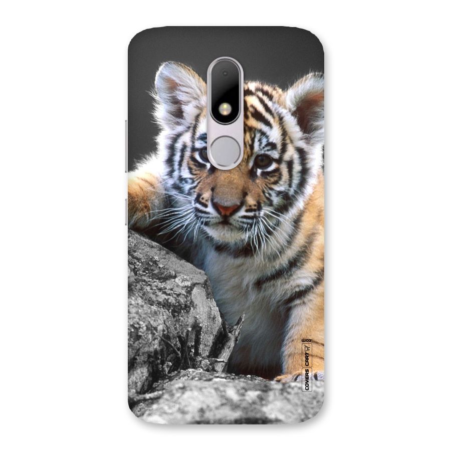 Animal Beauty Back Case for Moto M