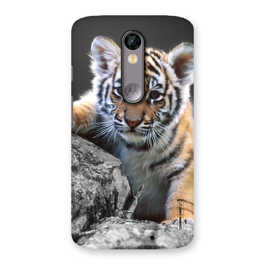 Animal Beauty Back Case for Moto X Force