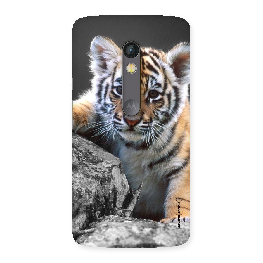 Animal Beauty Back Case for Moto X Play
