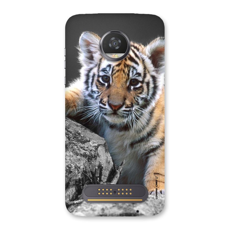 Animal Beauty Back Case for Moto Z2 Play