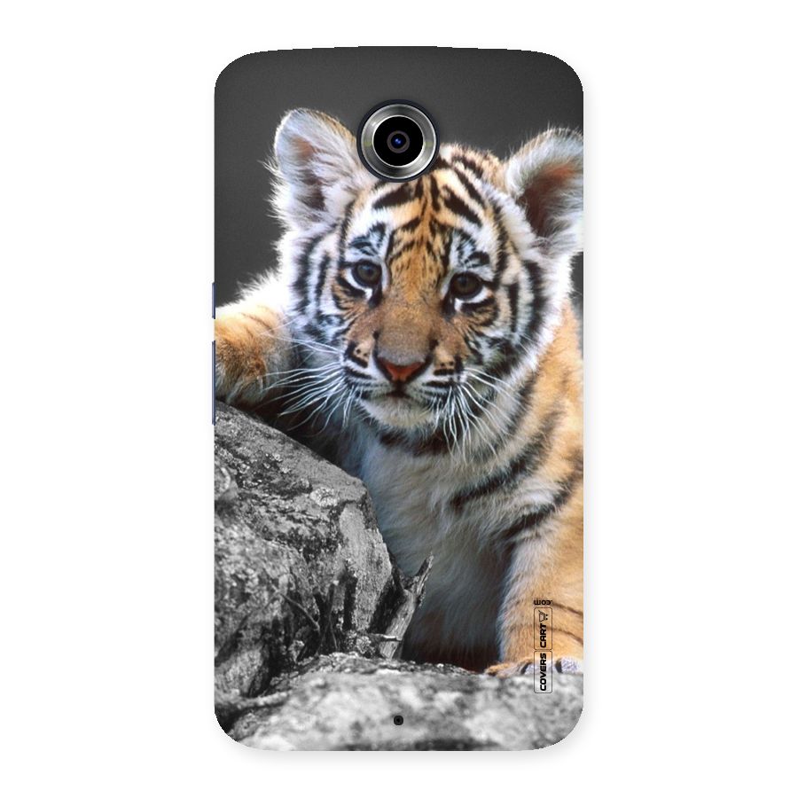 Animal Beauty Back Case for Nexsus 6