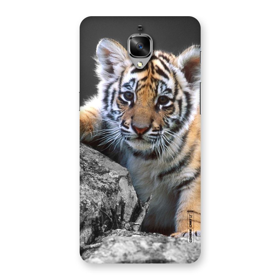 Animal Beauty Back Case for OnePlus 3