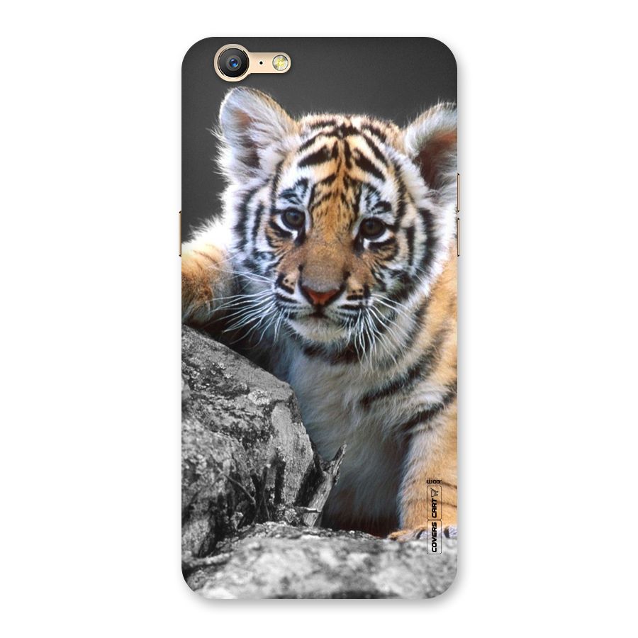 Animal Beauty Back Case for Oppo A57