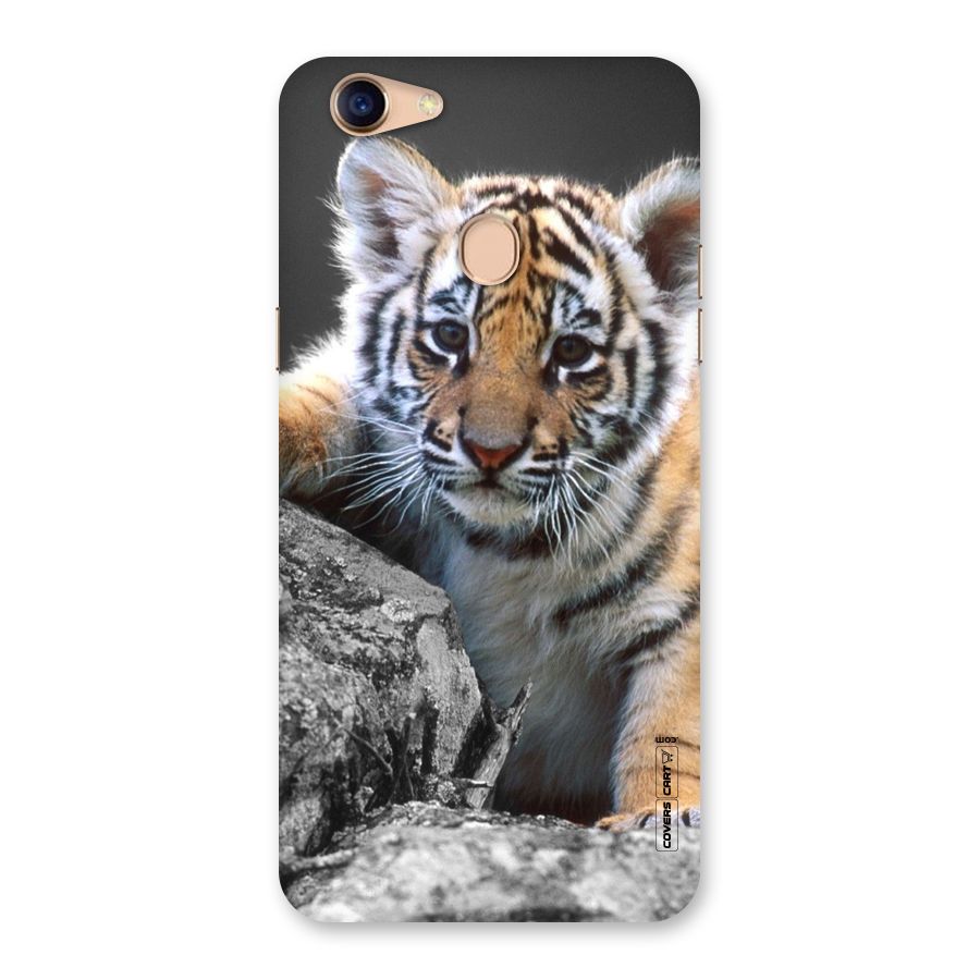Animal Beauty Back Case for Oppo F5