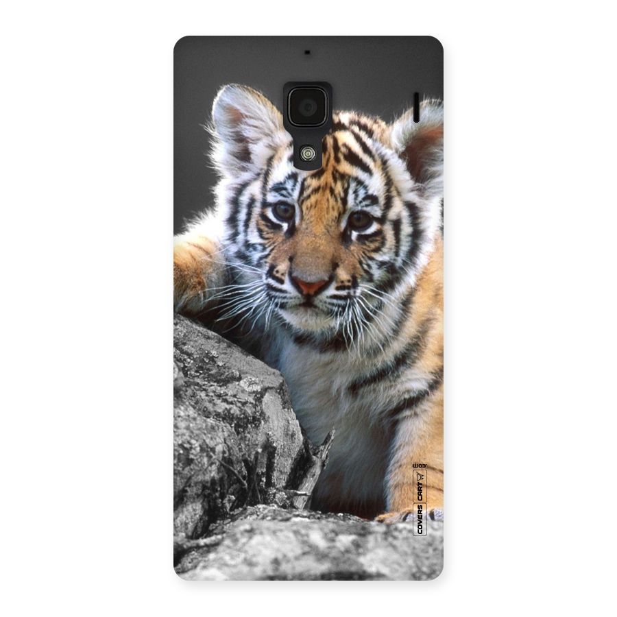 Animal Beauty Back Case for Redmi 1S