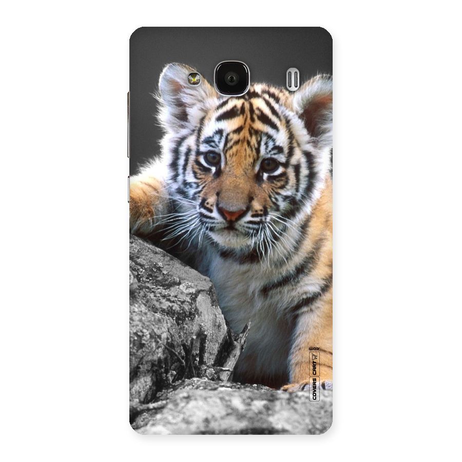 Animal Beauty Back Case for Redmi 2
