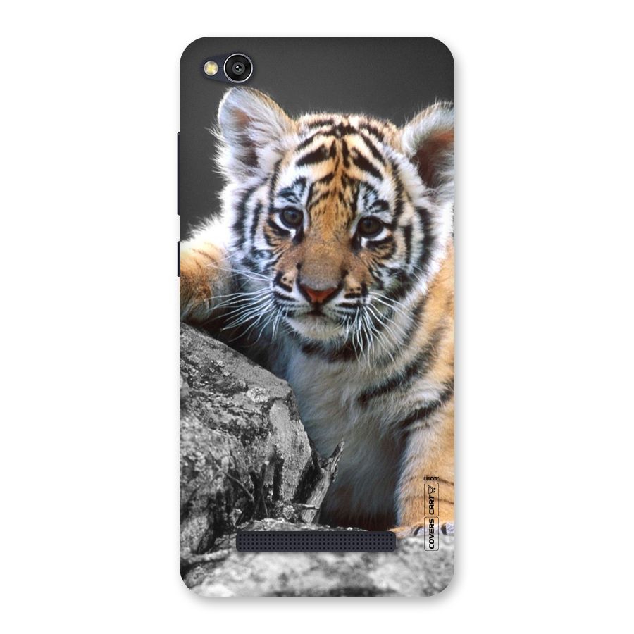 Animal Beauty Back Case for Redmi 4A